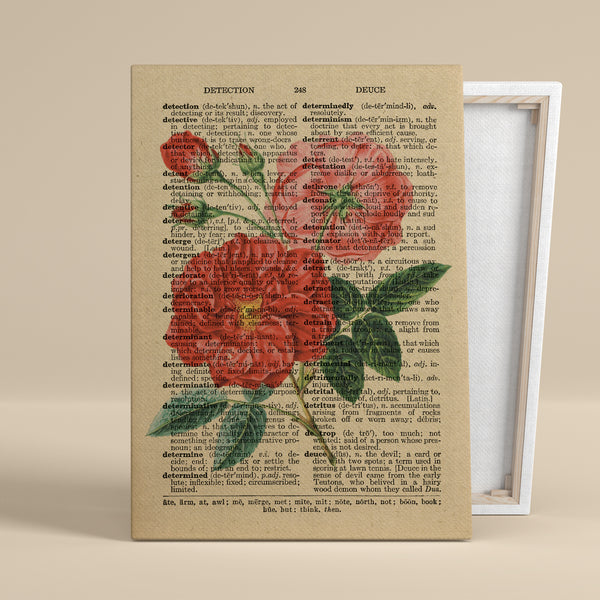 "Rose in Bloom" – Canvas Art, 0.75" Frame